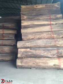 中印木材貿(mào)易新焦點(diǎn) 解讀“新貴紅木”闊葉黃檀的投資價(jià)值與市場前景