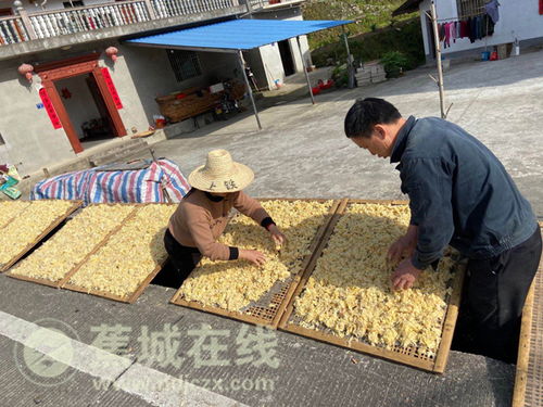 “九都溪邊” 肉制品加工闖出富民興村路